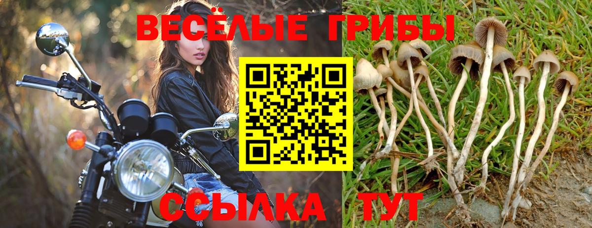 Тельмана  Галлюциногенные грибы Psilocybine cubensis  хочу наркоту  Галлюциногенные грибы Magic Shrooms  Вход с VPN 
